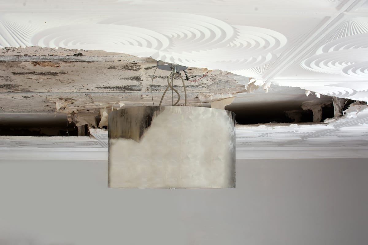 Water Today, Mold Tomorrow: How Housing Providers Can Stop Damage Before It Spreads